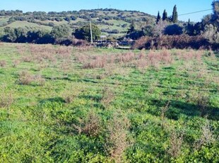 Terreno edificabile in Vendita a Loiri Porto San Paolo