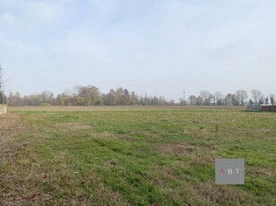 Terreno edificabile in Vendita a San Giorgio in Bosco Cogno