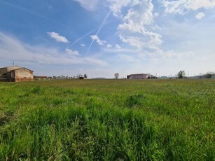 Terreno edificabile in Vendita a Sant'Elena Sant 'Elena