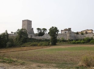 Appartamento a Civitavecchia con terrazza e barbecue