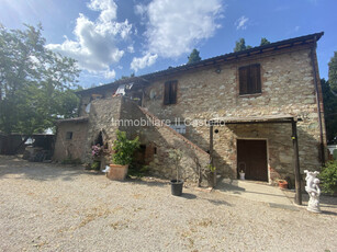 Vendita Rustico Castiglione del Lago - Piana