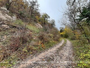 Vendita Terreno Agricolo in FOSSOMBRONE