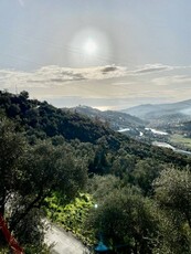 Villa in vendita Imperia