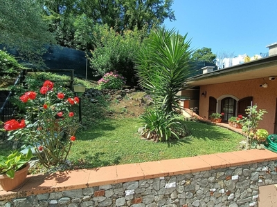 Casa indipendente con giardino, Carrara bergiola foscalina