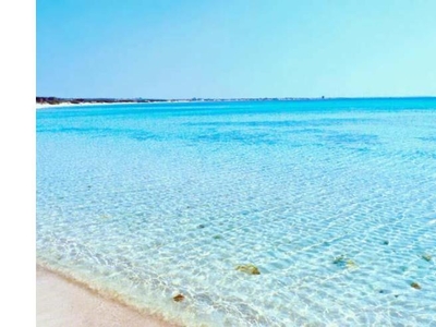 Affitto Appartamento Vacanze a Porto Cesareo, Frazione Torre Lapillo