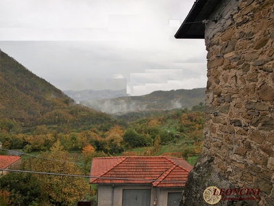 Rustico in vendita, Bagnone treschietto