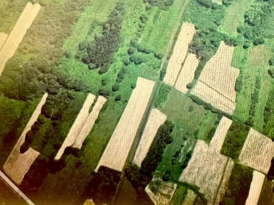 Terreno Agricolo in vendita, Porcari padule