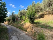 Terreno Agricolo in vendita a Massarosa via Pastinovelli, 329