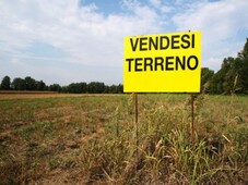 Terreno Agricolo in vendita a Piazzola sul Brenta