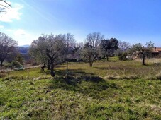 Terreno Residenziale in vendita a Calvi dell'Umbria via del Vigneto