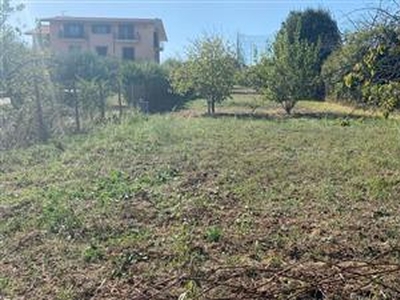 Agricolo - Seminativo a Frascati