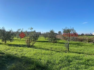 Terreno agricolo in Affitto a Livorno, 250€, 10000 m²