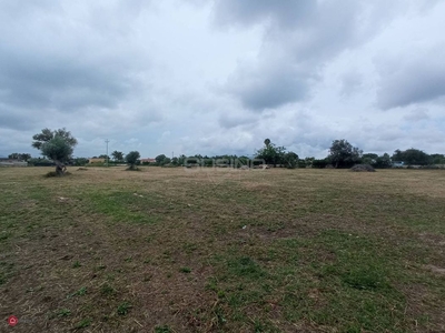 Terreno agricolo in Vendita in Traversa Masseria Gargallo a Siracusa
