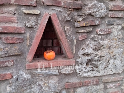 Rustico in vendita, Camaiore capezzano pianore