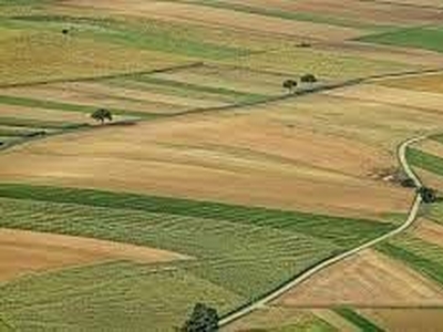 Terreno agricolo in Vendita in a Albaredo d'Adige