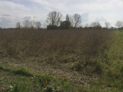 Terreno agricolo in Vendita in a Cascina