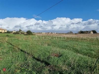 Terreno agricolo in Vendita in Via delle Poinsezie a Ardea