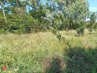 Terreno agricolo in Vendita in Via Luigi Boccherini a San Giuliano Terme