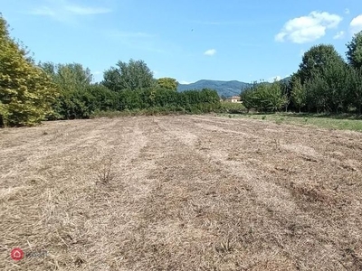 Terreno agricolo in Vendita in Via Luigi Boccherini a San Giuliano Terme