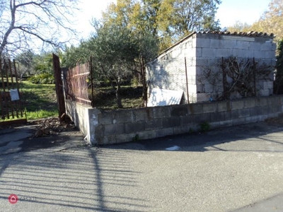 Terreno agricolo in Vendita in Salvo d'acquisto 28 a Viagrande