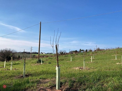 Terreno agricolo in Vendita in Strada della Campanara 6 a Pesaro