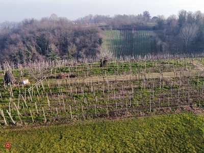 Terreno agricolo in Vendita in Via Serafina a San Colombano al Lambro