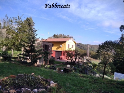 Villa singola in Strada provinciale di Meleta, Roccastrada, 8 locali