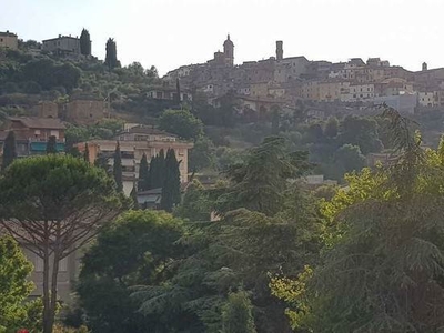 Appartamento in affitto a Sinalunga Siena Pieve