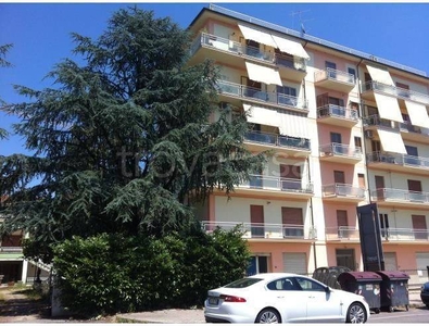 Appartamento in in vendita da privato a Venafro via Campania, 39