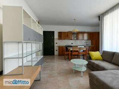 Bilocale arredato con terrazzo Saviabona