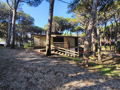 Bungalow / piazzola in vacanza a Eraclea Venezia Eraclea Mare