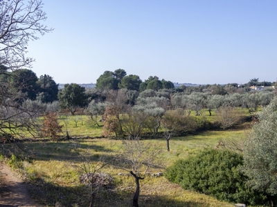 Porzione di Casa in vendita a Monopoli san Bartolomeo, 765