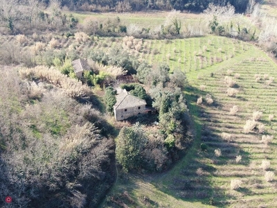 Rustico/Casale in Vendita in a Palaia