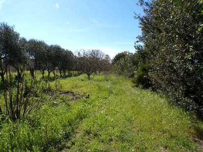 Rustico in vendita ad Alghero strada Vicinale di Garrone, 2