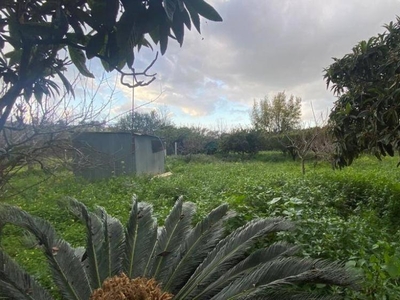 terreno agricolo in vendita a Partinico