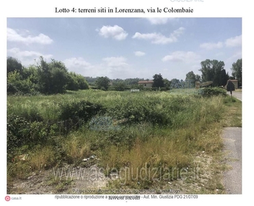 Terreno agricolo in Vendita in a Crespina Lorenzana