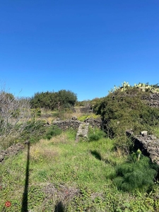 Terreno agricolo in Vendita in SP88 a Mascalucia