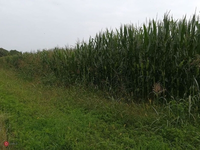 Terreno agricolo in Vendita in Via G. Boccaccio a Dueville