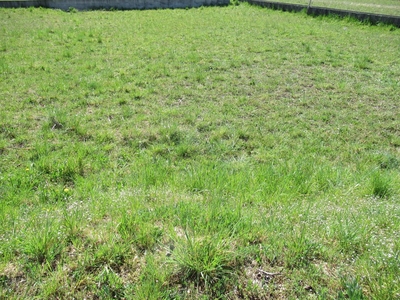 Terreno edificabile residenziale in vendita a Trevignano