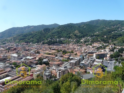 Vendita Terreno Agricolo in CARRARA