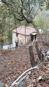 Casa indipendente con giardino, Massa altagnana