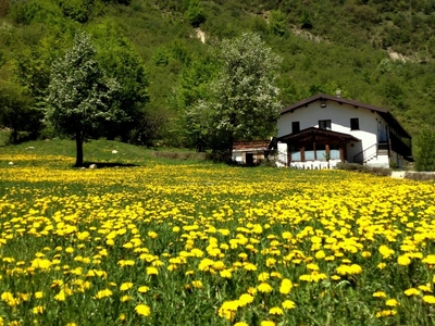 Agriturismo in vendita 13 Stanze da letto a Brallo Di Pregola