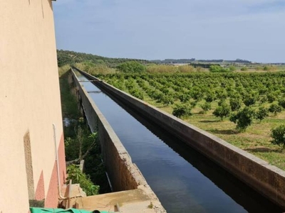 azienda agricola in vendita a Crotone