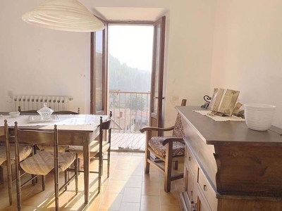 Casa semi indipendente in vendita 2 Stanze da letto a San Romano In Garfagnana
