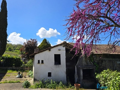 Casa Semi Indipendente in Vendita a Terni, 124'000€, 333 m²