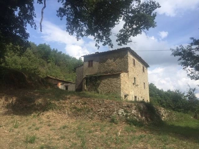 Colonica in Tra Talla e Castelfocog a Castel Focognano