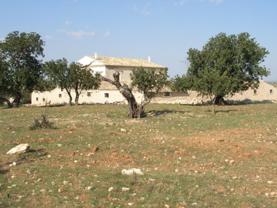 Masseria in vendita 12 Stanze da letto a Comiso