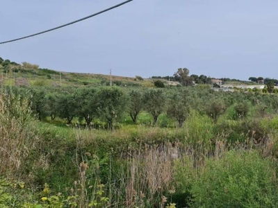 terreno agricolo in vendita a Crotone