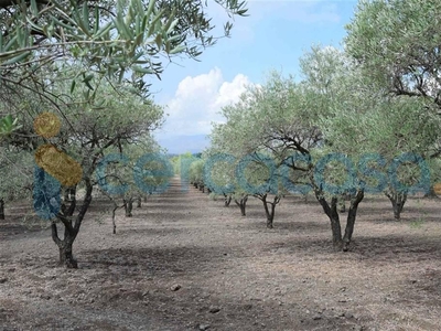 Terreno agricolo in vendita in Contrada Moganazzi, Castiglione Di Sicilia