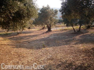 Terreno edificabile residenziale in vendita a Settingiano